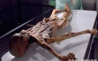 奇闻异事图片大全，奇闻异事大全