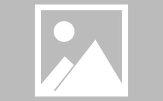 豫剧刘墉全集，豫剧刘墉全集谢庆军