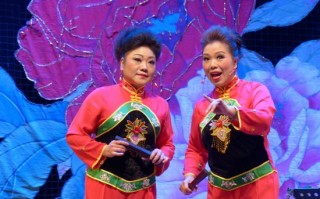 怎么下载河南坠子，怎么下载河南坠子完整版mp3