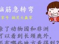 幽默风趣笑话正能量，幽默风趣笑话段子