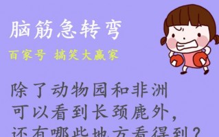 幽默风趣笑话正能量，幽默风趣笑话段子